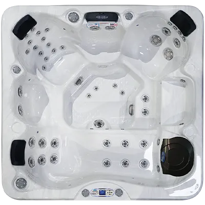 Avalon EC-849L hot tubs for sale in Monroeville